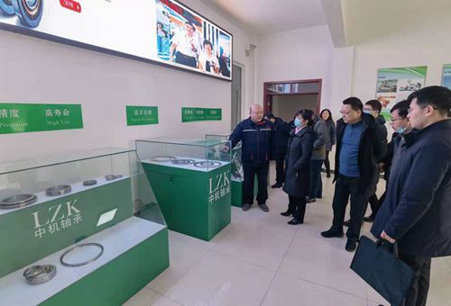 省科技廳領(lǐng)導到中機軸承視察調研